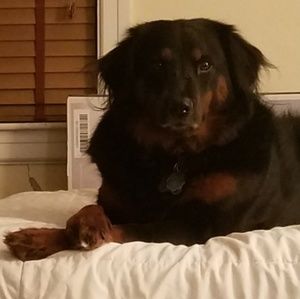 Meet your Posher, Regan